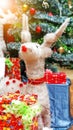 Close up white reindeer, Christmas tree decorations and New Year background, Winter holiday decoration