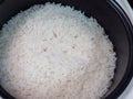 Close up of white rice in electric rice cooker pot Royalty Free Stock Photo