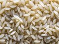 close up white rice texture