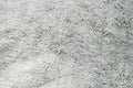 Close up white shaggy artificial fur texture or carpet for background Royalty Free Stock Photo