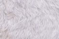 Close up white shaggy artificial fur texture or carpet for background Royalty Free Stock Photo