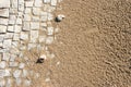 Close up of white stone slabs formed into a mosaic covered with beach sand and seashells. Broken tiles mosaic seamless pattern Royalty Free Stock Photo