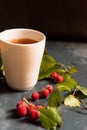 Close up white teacup and hawthorn berries Royalty Free Stock Photo