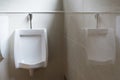 Close up of white urinals for man in toilet,Modern luxury design lavatory Royalty Free Stock Photo
