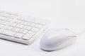 Close up of white wireless keyboard and wired mouse