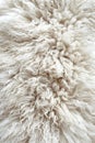 Close-up of white wool curls and textures.