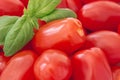 Plum tomatoes and basil Royalty Free Stock Photo