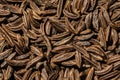 Close up of whole cumin seeds