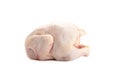 Whole fresh raw chicken isolated on white background Royalty Free Stock Photo