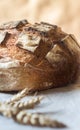 Close-up of Whole grain Sourdough Bread