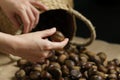 Close-up of wicker basket with full of chestnuts Royalty Free Stock Photo