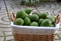 Close-up of wicker basket full of hass avocados Royalty Free Stock Photo