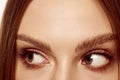 Look away. Close up of beautiful brown female eyes. Perfect trendy eyebrow. Concept of vision, contact lenses, trendy