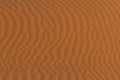 Close up of the wide ripples of the sand dunes in the beautiful sunshine in the United Arab Emirates