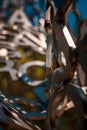 Frederik Meijer Gardens - Grand Rapids, MI /USA - September 4th 2016: Close up of wielded letters that make up a statue at the Fr