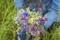 Close-up of wild flower bouquet in the hands of a young girl. Summer background Royalty Free Stock Photo