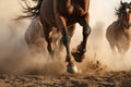 close-up of wild horses hooves kicking up dust while galloping Royalty Free Stock Photo