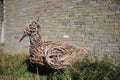 Willow sculpture of Lapwing in front of stone wall