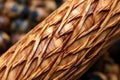 close-up of willow wood texture for cricket bats