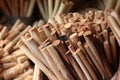 close-up of willow wood used for cricket bats Royalty Free Stock Photo