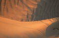 Close-up wind-swept sand patterns of a Kalahari dune Royalty Free Stock Photo