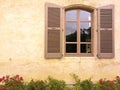 Close-up on a window and its light brown shutters, ocher wall and alley of small red roses in bloom, against the Royalty Free Stock Photo