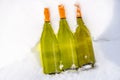 Wine bottles in the snow