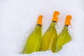 Wine bottles in the snow