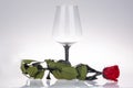 Close-up of wine glass with red rose Royalty Free Stock Photo