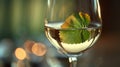 Close-up of wine glass and single grape leaf