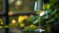 Close-up of wine glass and single grape leaf