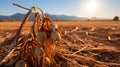 A close-up of a withered crop under a merciless sun, illustrating the vulnerability of agriculture to extreme weather patterns