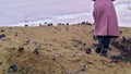 Close-up of woman in autumn boots walking on sand. Stock footage. Beautiful young woman walks along beach sand on cloudy
