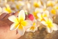 Close up on woman bare foot with flowers