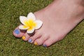 Close up on woman bare foot with frangipani flower