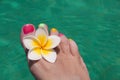 Close up on woman bare foot with frangipani flower, turquoise water