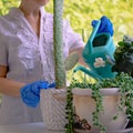 Close up of woman caring the plants Royalty Free Stock Photo