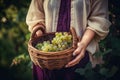 Close-up of woman with casual clothes with hands holding wicker basket full of grapes ripe fresh organic vegetables Royalty Free Stock Photo