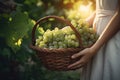 Close-up of woman with casual clothes with hands holding wicker basket full of grapes ripe fresh organic vegetables