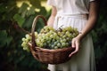 Close-up of woman with casual clothes with hands holding wicker basket full of grapes ripe fresh organic vegetable