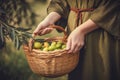 Close-up of woman with casual clothes with hands holding wicker basket full of olives ripe fresh organic vegetables Royalty Free Stock Photo