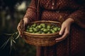 Close-up of woman with casual clothes with hands holding wicker basket full of olives ripe fresh organic vegetables Royalty Free Stock Photo