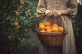 Close-up of woman with casual clothes with hands holding wicker basket full of oranges ripe fresh organic vegetables Royalty Free Stock Photo