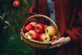 Close-up of woman with casual clothes with hands holding wicker basket full of red apple ripe fresh organic vegetables