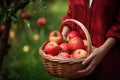 Close-up of woman with casual clothes with hands holding wicker basket full of red apple ripe fresh organic vegetables
