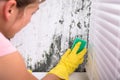 Woman Cleaning Mold From Wall Royalty Free Stock Photo