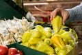 Close-up of woman doing grocery shopping choosing green bell pepper in cart buying food in supermarket Royalty Free Stock Photo