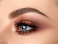 Close-up of woman eye with beautiful brown smokey eyes makeup Royalty Free Stock Photo