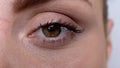 Close-up woman eye looking into camera, hypoallergenic waterproof cosmetics