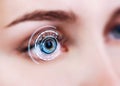 Close-up of woman eye in process of scanning. Royalty Free Stock Photo